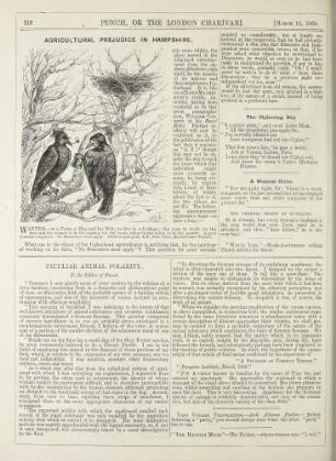 Agricultural prejudice in Hampshire