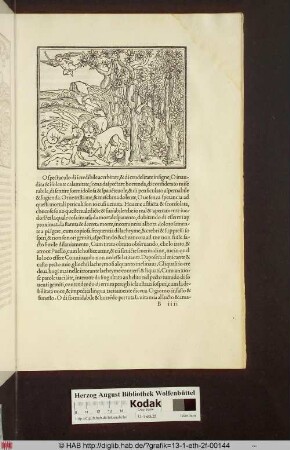 [Die Gefangenen werden von Raubtieren und Drachen gefressen]