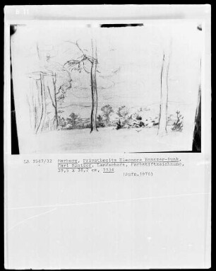 Landschaft mit Baumgruppen