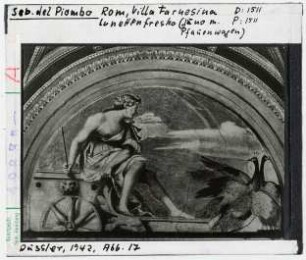 Sebastiano del Piombo: Pfauenwagen. Rom, Villa Farnesina