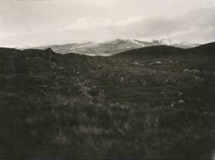 Páramo am Westfuß des Cotopaxi