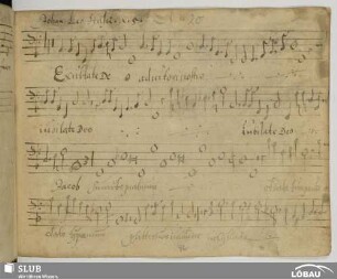 [20.] Hassler, Hans Leo: Exsultate Deo