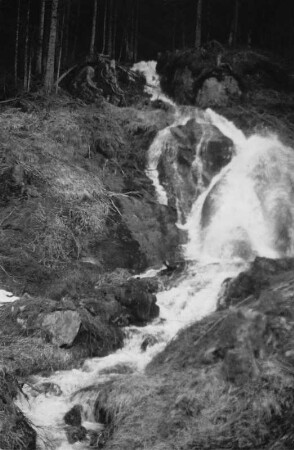 Zufluss des Kleinen Arbersees : Waldbach als Zufluss des Kleinen Arbersees