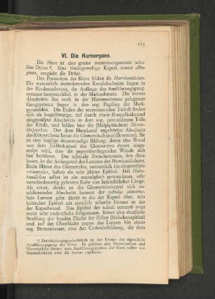 VI. Die Harnorgane.