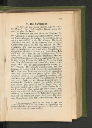 VI. Die Harnorgane.