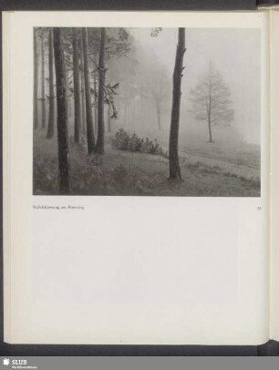 Nebelstimmung am Rennsteig