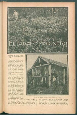 El tabaco misionero