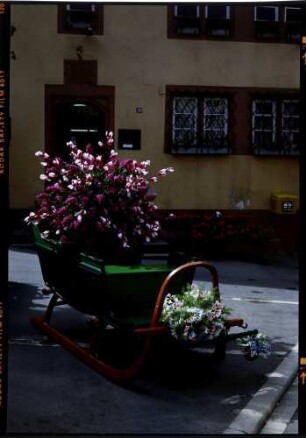 Walldürn: Blumenschlitten vor dem Rathaus
