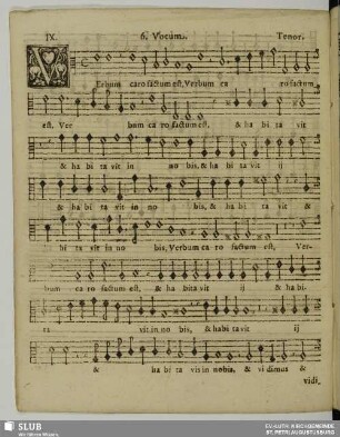 IX. Verbum caro factum est