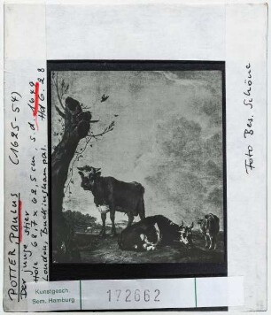 Paulus Potter: Der junge Stier. London, Buckinghampalace