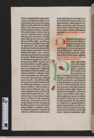 Epistola canonica Petri apostoli I.