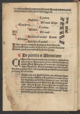 De punctis et Alteratione Caput Quintum ...