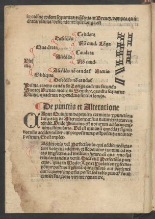De punctis et Alteratione Caput Quintum ...