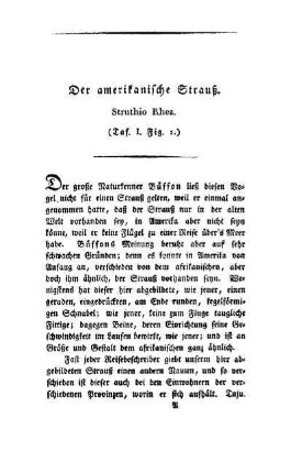 ¬Der¬ amerikanische Strauß : Struthio Rhea ; (Taf. I, Fig. 1)