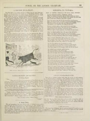 A British bull-fight