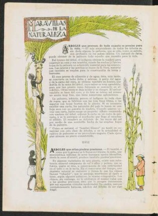 Maravillas de la naturaleza