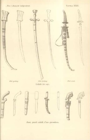 Tavola XXII. Coltelli dei capi. - Raut, piccoli coltelli d'uso giornalierio