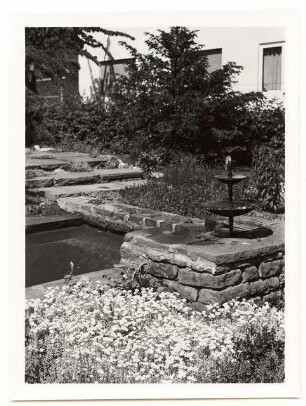 Garten Reinicke, Berlin-Zehlendorf: Wasserbecken und Stufen zur Terrasse