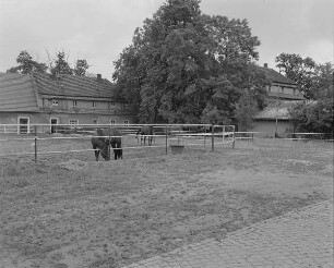 Stallgebäude mit Verwaltungstrakt