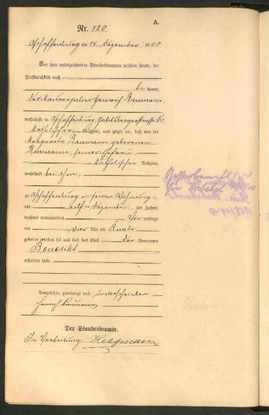 Standesamtsbuch der Stadt Aschaffenburg: Geburten 365/1900 - 184/1901