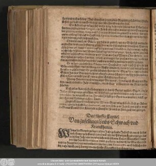 Das fünffte Capitel. Von zufelligen Leibs Schwach und Kranckheiten.