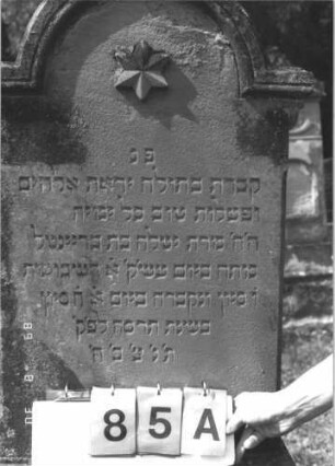 Grabstein 85 (Index: 99609721) Material: Sandstein Zustand: verwittert Maße HxBxT: 183x61x28 cm Beschreibung: Stele, eingezogener Rundbogenabschluß mit Verdachung, Mittelplamette, getreppter Sockel, unten Rusticaimitat Symbolik: Stern: Grabstein 85A