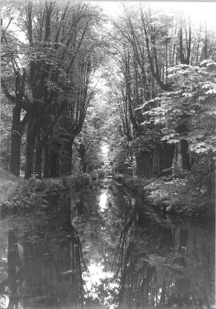 Schloß Hermsdorf bei Dresden. Parkanlagen (um 1730 und 1764). Baumallee und Wassergraben, Seitenarm der Großen Röder, mit Bogenbrücke südwärts. Fotografie von U. Richter, um 1925