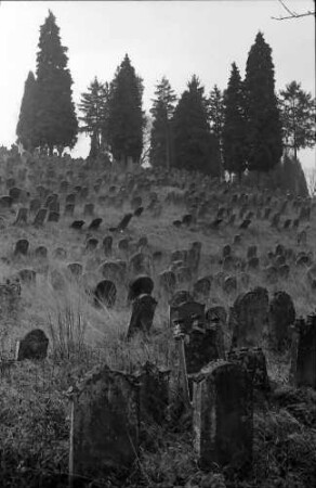 Schmieheim: Judenfriedhof bei Schmieheim