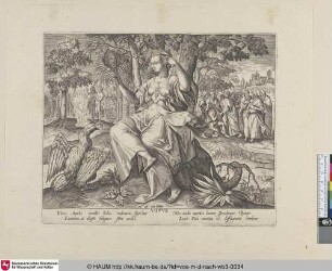 [Gersichtssinn; Sight, the Lord pointing Adam and Eve to the tree of Knowledge [Gen. 2:16-17] and Christ healing a blind man near the pool of Siloam [John 9:1.8]]