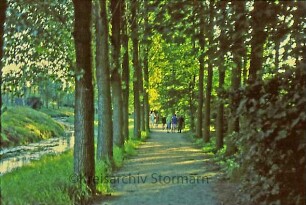 Beste: Wanderweg