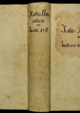 Ratsprotokolle, 1770 Juli 25. - 1771 Juli 18.
