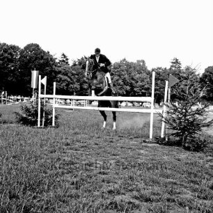 Kreispferdesportverband Stormarn e.V.: Exer: 18. Kreispferdeleistungsschau: Wettbewerb im Springreiten
