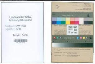 Entnazifizierung Anna Meyer , geb. 11.08.1905 (Damenschneiderin)