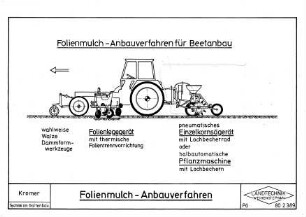 Folienmulch-Anbauverfahren