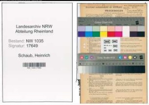 Entnazifizierung Heinrich Schaub , geb. 31.03.1897 (Angestellter)