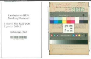 Entnazifizierung Karl Schlaeger , geb. 08.08.1892 (Buchhalter)