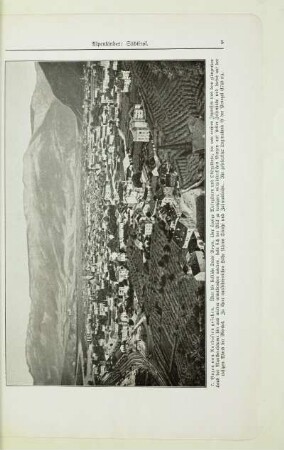 7. Bozen von Nordosten gesehen