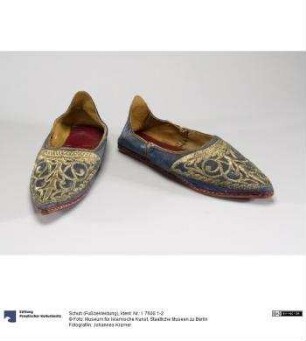 Schuh (Fußbekleidung)