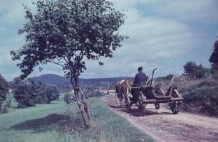 Thüringen. Landschaft (nördliches Vorland des Thüringer Waldes) mit Gespann