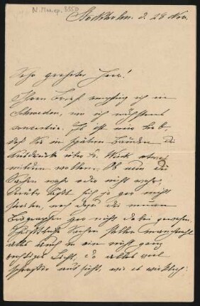 Brief an Richard Batka : 28.11.1893