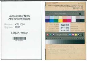Entnazifizierung Walter Feltgen, geb. 18.05.1900 (Apotheker)