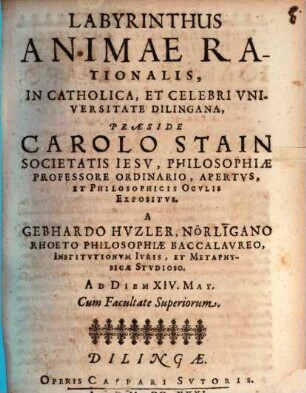 Labyrinthus animae rationalis