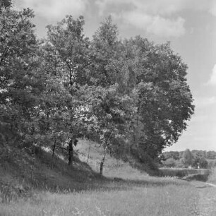 Landschaftsbild. Wälder und Wiesen um Burg-Kauper. : Wobraz krajiny. Lěsy a łuki wokoło Kupaŕskich Bórkowow.