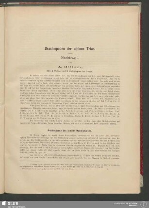 Brachiopoden des alpinen Muschelkalkes