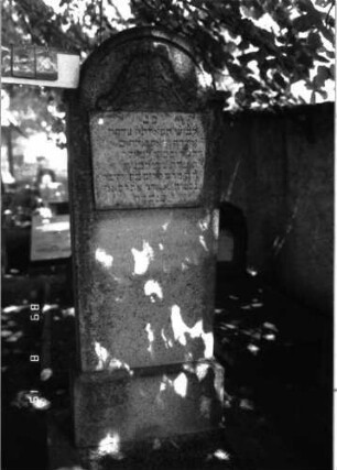 Grabstein 123 (Index: 100105340) Material: Granit Zustand: verwittert mit Textverlust Maße HxBxT: 182x61x21 cm Beschreibung: Stele, Sockel, eingezogener Rundbogenabschluß, rechteckiges erhabenes Schriftfeld Symbolik: Blattwerk über Schriftfeld: Grabstein 123