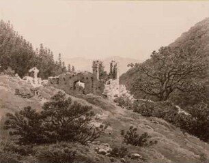 Ruine in bewaldetem Gebirgstal