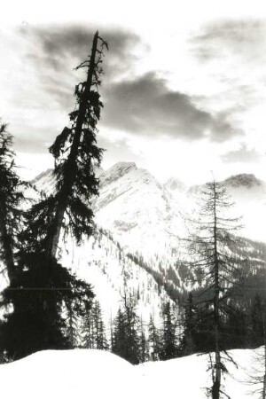Graubündener Alpen. Schafrücken gegen Welschtobel