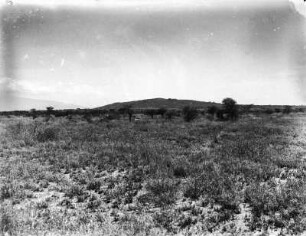 Savannenlandschaft : Blick über die Savanne auf einen Hügel