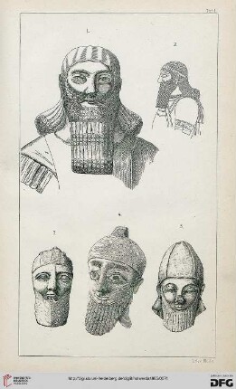 Tafel II - VII