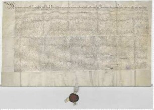 Herzog Ulrich zu Mecklenburg transsumiert und bestätigt das Privileg der Herzogin Catharina zu Mecklenburg von 1430 Juli 3.
